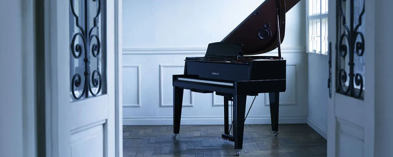 Pianos hybrides